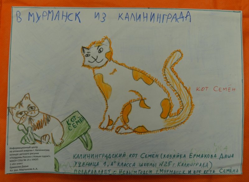 Фото к Подведение итогов конкурса  «Поздравь Россию с Новым Годом!»